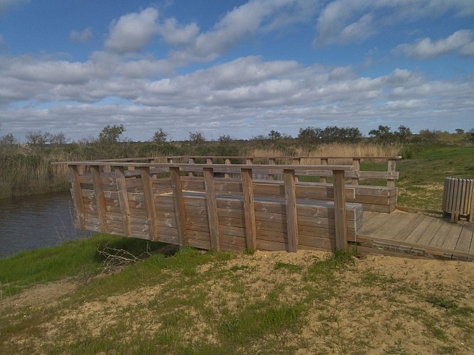 Ponton d'observation ou de pêche