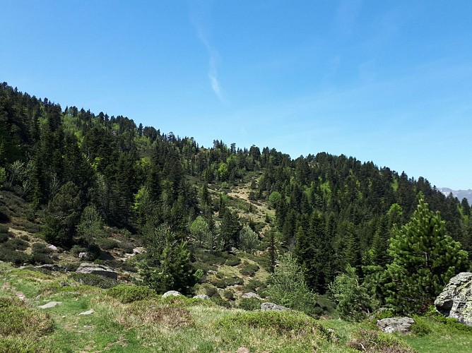 N°67 - Refuge du Larry