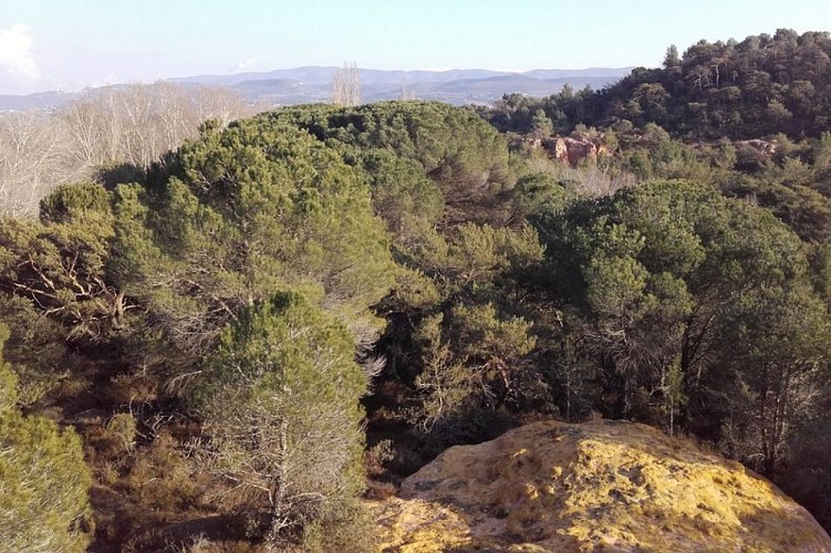 Bois de Saint Jean et Grand Luberon