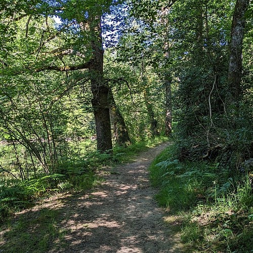 Chemin le long du Viaur