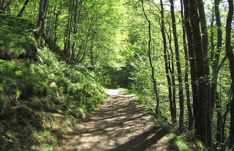 Tour de la basse vallée du Bastan