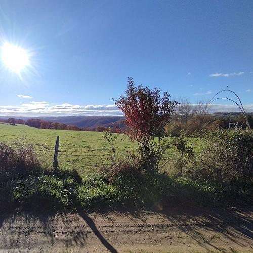 Vue sur la campagne