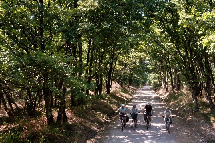 TDHG A VELO FORET BUZET©Manuel_Huynh