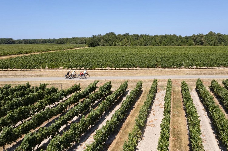 TDHG A VELO VIGNES©Manuel_Huynh