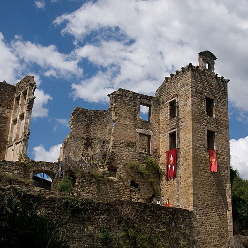 Château de Saint Martin Laguépie