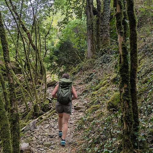 Chemin sur le GR®36