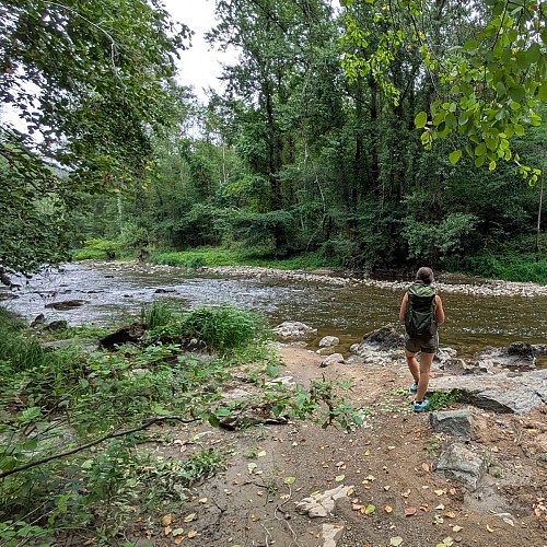 Berges de l'Aveyron