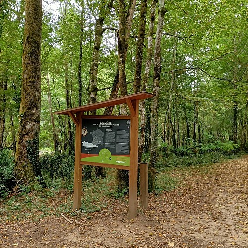 Arrivée dans le Tarn et Garonne