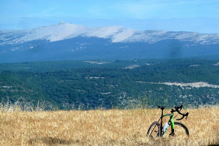 Mont-Ventoux depuis Sarraud