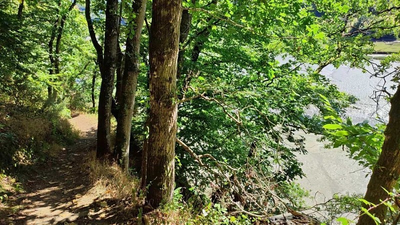 Sentier côtier au départ du circuit