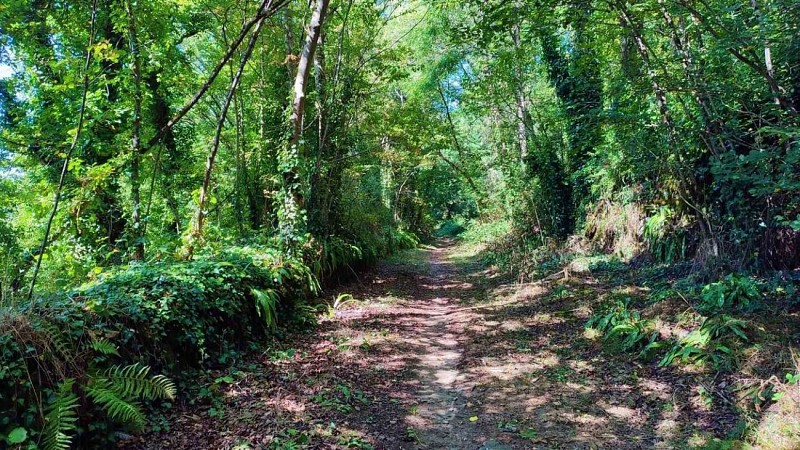 Chemin du circuit Milin Vor | Plouezoch