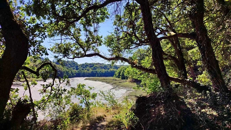 Estuaire du Dourduff à marée basse | Plouezoc'h