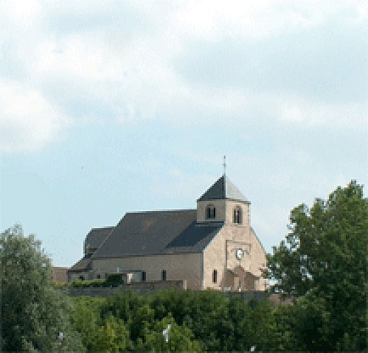 Chouilly, village de la Côte des Blancs