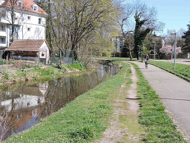 Canal Coulaux à Molsheim