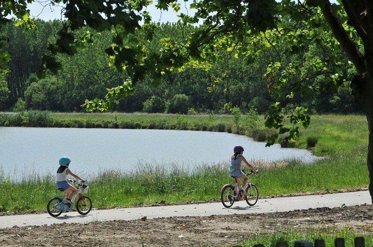 8-E2-V81BarthesLahonce