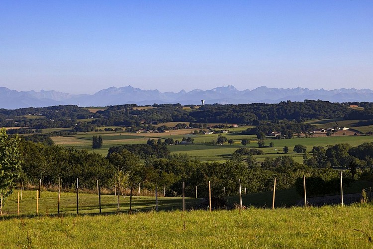 Arrosès bearn madiran © Pascal Le Doaré - Copie
