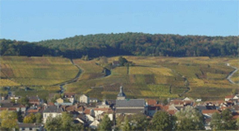Cumières, village de la Vallée de la Marne