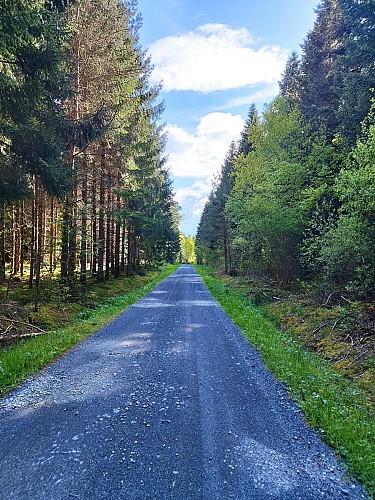 Le sentier des bois de Verneugheol_Verneugheol