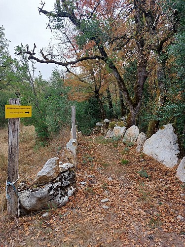 Sentier de mémoire du Maquis d'Ornano - Site de La Bouriette