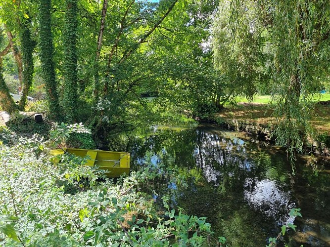 541003099_1173455724607857_1509094923792733256_n