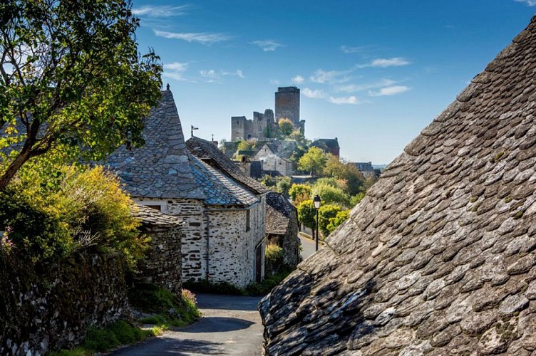 Toits de lauze dans le village de Valon et son château haut perché