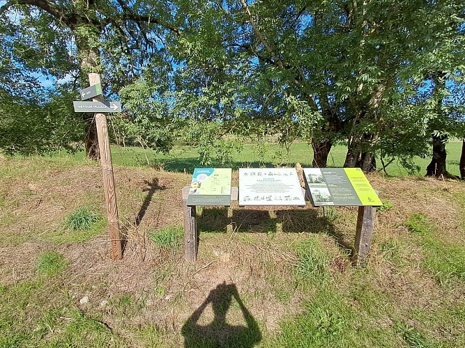 Sentiers de Lacapelle-Livron - Circuit 2 : Le Causse