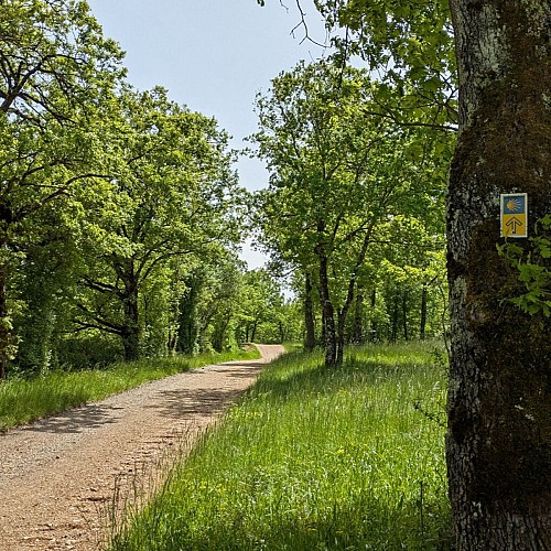 Chemin vers le marais de Toulonjac
