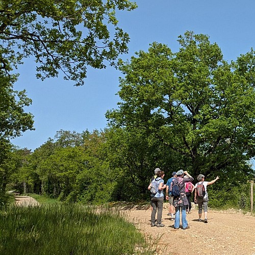 Chemin au dessus du trou de Gargantua