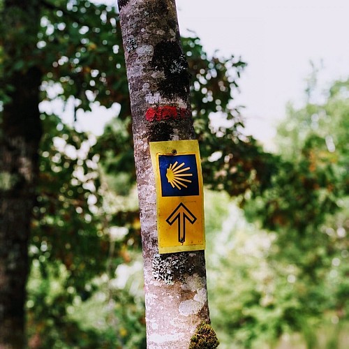 Sur le chemin vers Compostelle