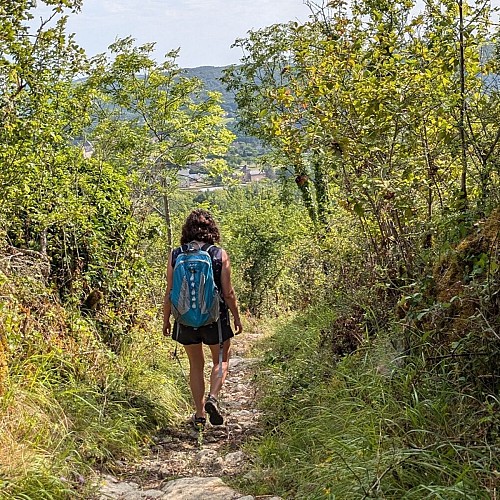 Chemin vers Monteils