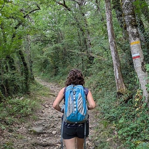 Chemin qui remonte vers Najac