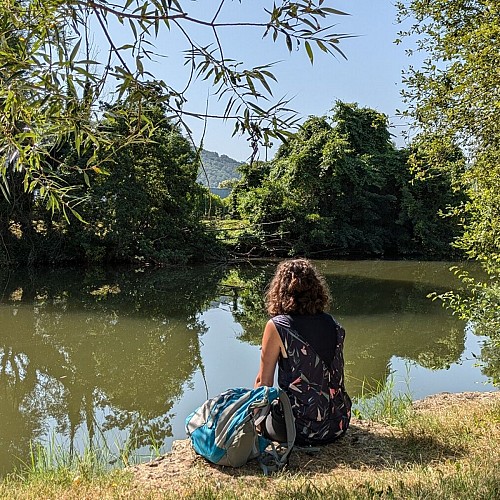 Berges de l'Aveyron à Villefranche de Rouergue