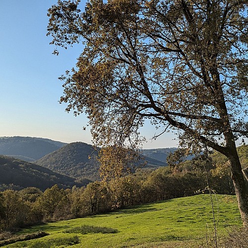 Paysage et vue sur Najac au loin