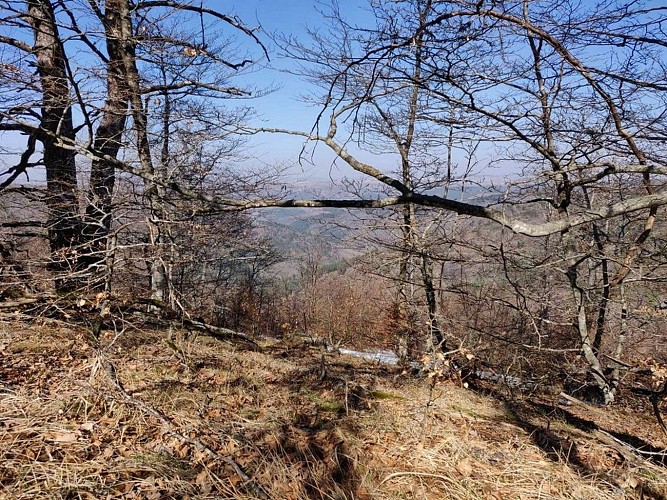 Randonnée de 2 jours - Le versant nord de l'Aigoual_L'Esperou