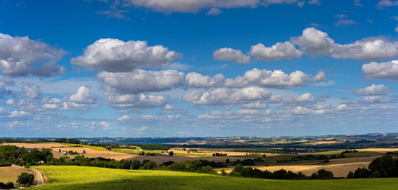 Route paysagère Les Clés des Champs en Ténarèze_Condom
