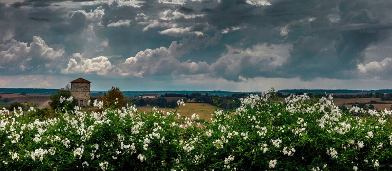 Route paysagère Les Clés des Champs en Ténarèze_Condom