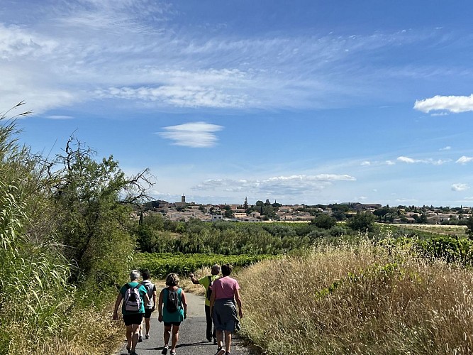 Rando entre les vignes et les garrigues 8 @ Mairie de Bassan