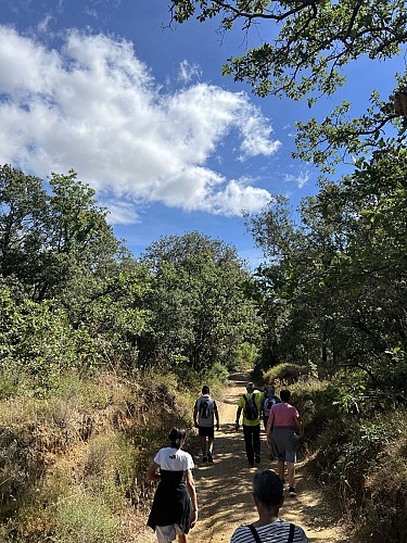 Rando entre les vignes et les garrigues 6 @ Mairie de Bassan