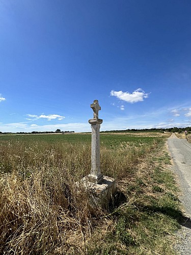 Rando entre les vignes et les garrigues 10 @ Mairie de Bassan