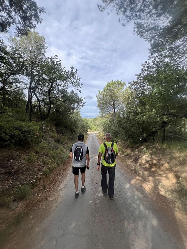 Rando entre les vignes et les garrigues 2 @ Mairie de Bassan