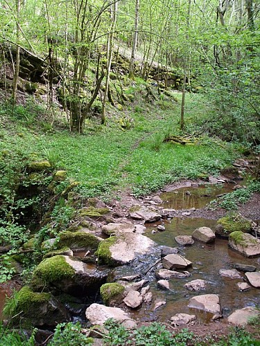 Le ruisseau de l'Albespy