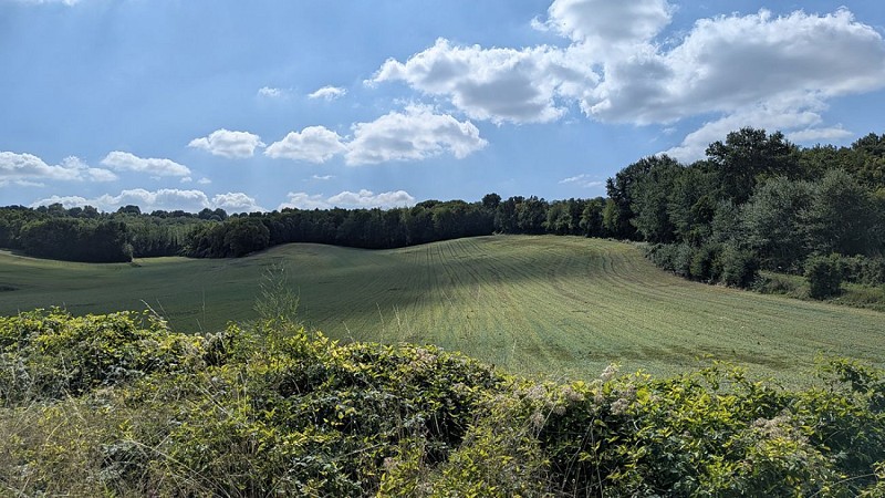 Chemin de Concevreux II