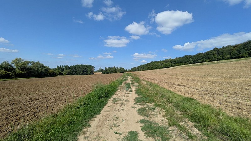 Chemin de Concevreux III
