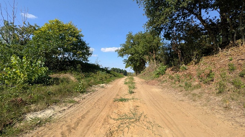 Chemin de Concevreux V