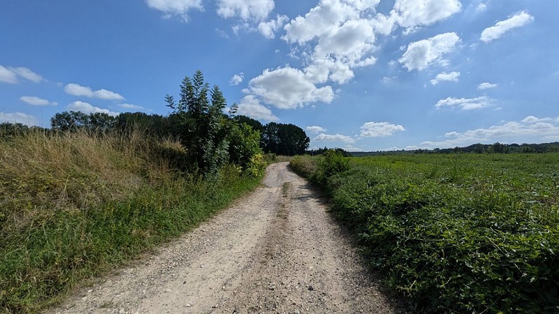 Chemin de Concevreux I