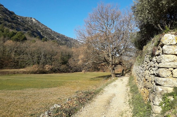 Chemin de Saint-Pierre