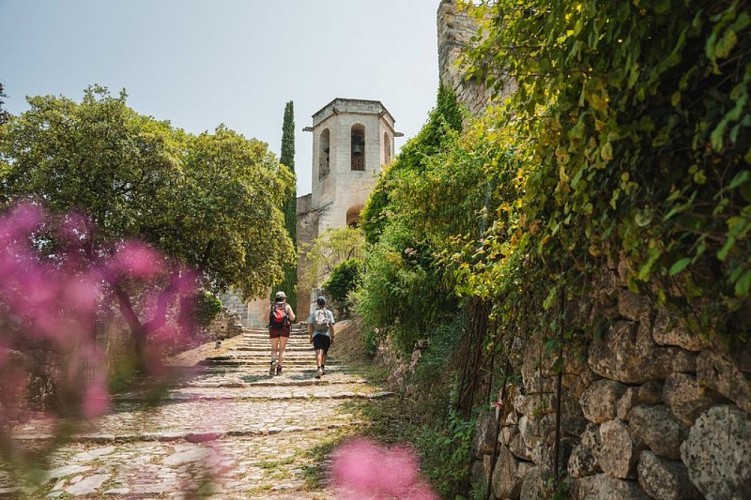 Chemin des Pénitents