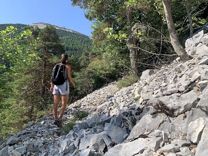 Ascension vers le sommet