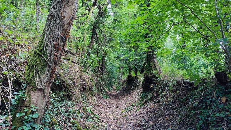 Boucle de Guélétréo | Plouezoc'h