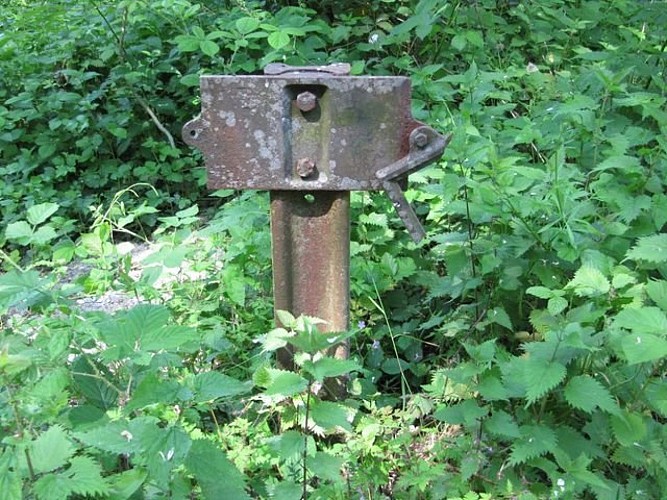 Voie verte "Condé/Alençon"